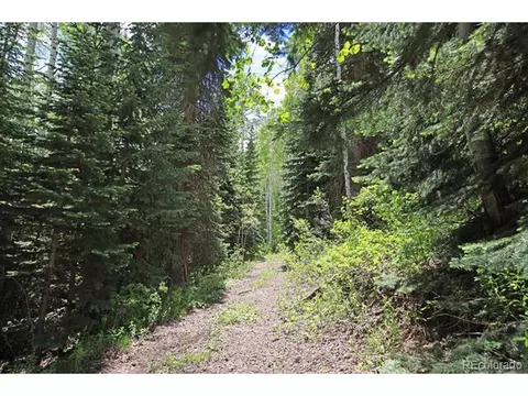 Undisclosed, Collbran, CO 81624 photo 13