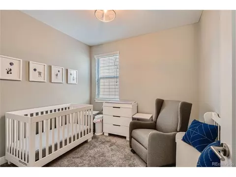 2414 Java Dr, Castle Rock, CO 80109 photo 16
