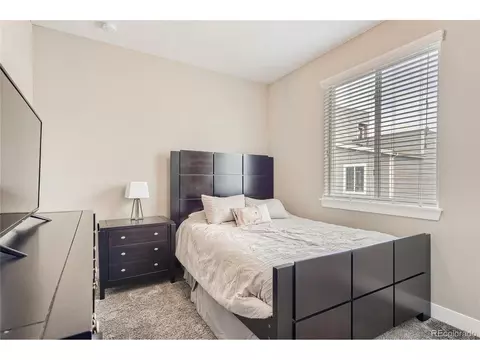 2414 Java Dr, Castle Rock, CO 80109 photo 15
