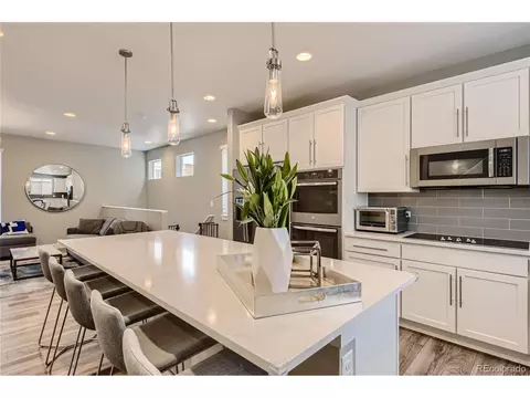 2414 Java Dr, Castle Rock, CO 80109 photo 4