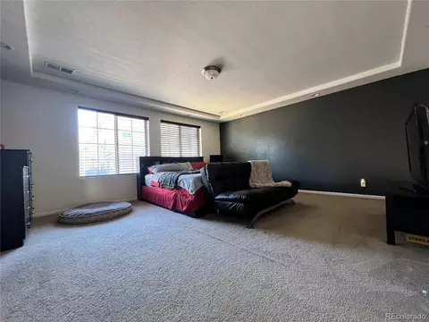 4884 Cathay Ct, Denver, CO 80249 photo 7