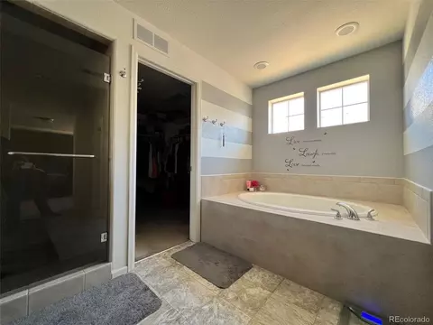 4884 Cathay Ct, Denver, CO 80249 photo 8