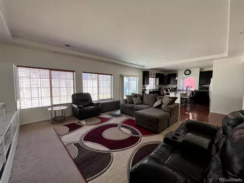 4884 Cathay Ct, Denver, CO 80249 photo 4