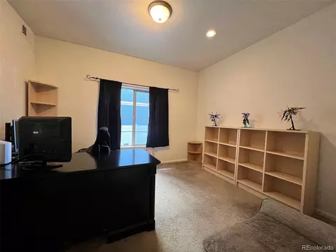 4884 Cathay Ct, Denver, CO 80249 photo 9