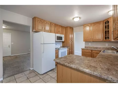 4490 Atchison Way, Denver, CO 80239 photo 15