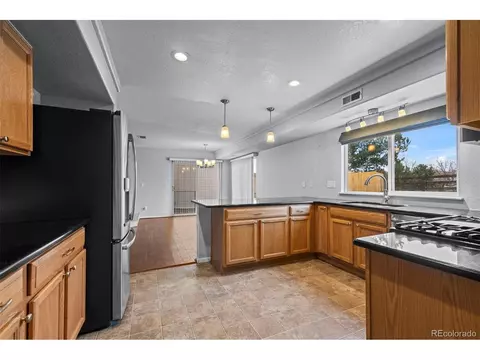 3974 Malta St, Denver, CO 80249 photo 10