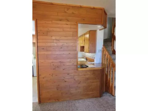 24129 Eccles St, Elbert, CO 80106 photo 13