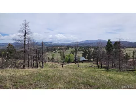 449 Duckworth Dr, Fort Garland, CO 81133