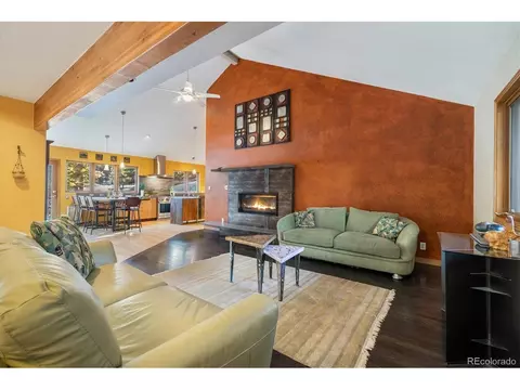 30444 Ruby Ranch Rd, Evergreen, CO 80439 photo 4
