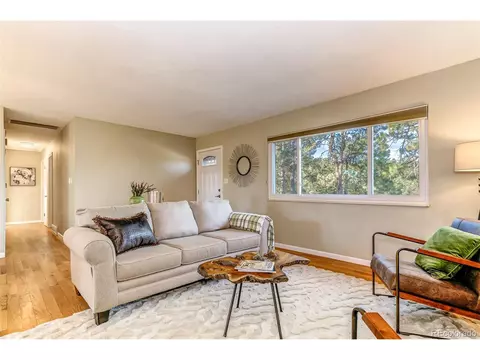 16665 Hightree Dr, Elbert, CO 80106 photo 8