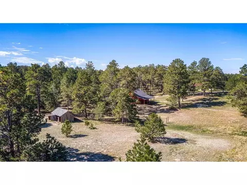 16665 Hightree Dr, Elbert, CO 80106 photo 34