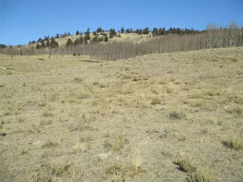 346 Night Hawk Cir, Como, CO 80432 photo 14