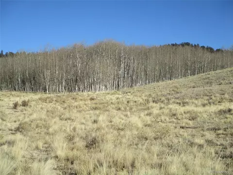 346 Night Hawk Cir, Como, CO 80432 photo 9