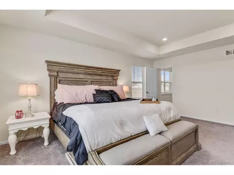 5710 Eagle River Pl, Brighton, CO 80601 photo 24