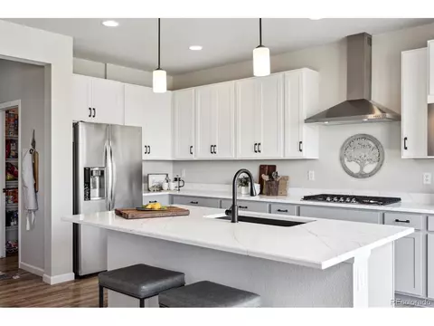 1665 Shoreview Pkwy, Windsor, CO 80550 photo 11