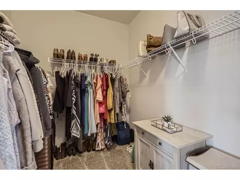 1665 Shoreview Pkwy, Windsor, CO 80550 photo 19
