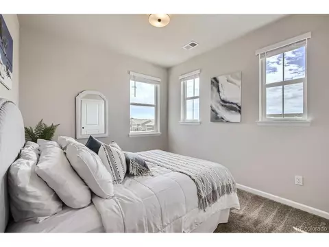 1665 Shoreview Pkwy, Windsor, CO 80550 photo 21