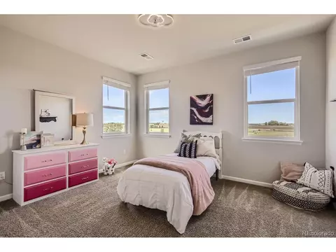 1665 Shoreview Pkwy, Windsor, CO 80550 photo 26