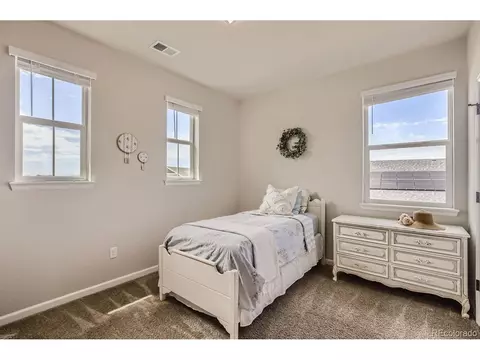 1665 Shoreview Pkwy, Windsor, CO 80550 photo 24
