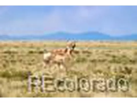 High Plains Road, Capulin, CO 81124