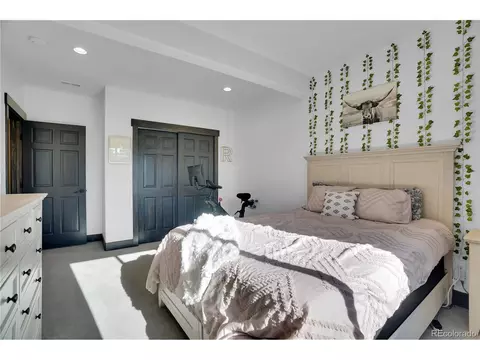 5223 Cloud Dance Dr, Timnath, CO 80547 photo 24