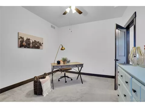 5223 Cloud Dance Dr, Timnath, CO 80547 photo 17