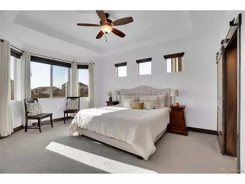5223 Cloud Dance Dr, Timnath, CO 80547 photo 12