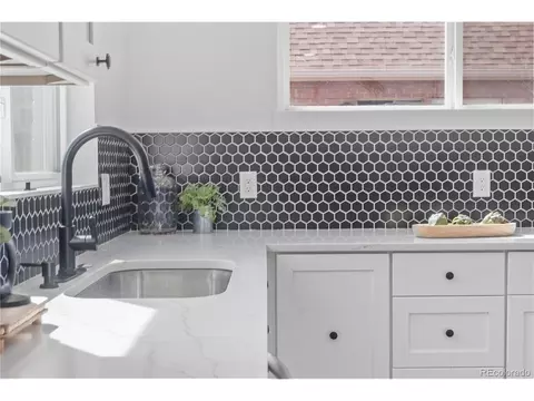 3630 Eudora St, Denver, CO 80207 photo 8