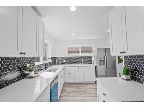 3630 Eudora St, Denver, CO 80207 photo 12