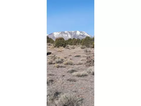 185 Black Hls #1, Walsenburg, CO 81089