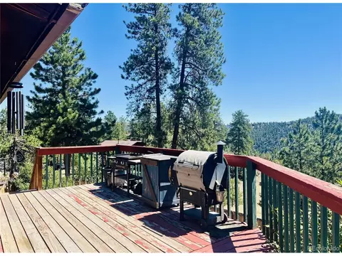 Exterior - 362 Raven Dr, Bailey, CO 80421 photo 2 of 10