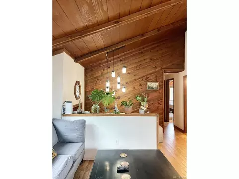 Living - 362 Raven Dr, Bailey, CO 80421 photo 1 of 2