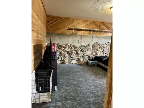 Other - 362 Raven Dr, Bailey, CO 80421 photo 11 of 14
