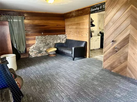 Other - 362 Raven Dr, Bailey, CO 80421 photo 10 of 14