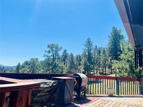 Other - 362 Raven Dr, Bailey, CO 80421 photo 6 of 14