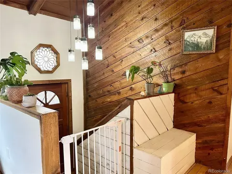 Other - 362 Raven Dr, Bailey, CO 80421 photo 4 of 14
