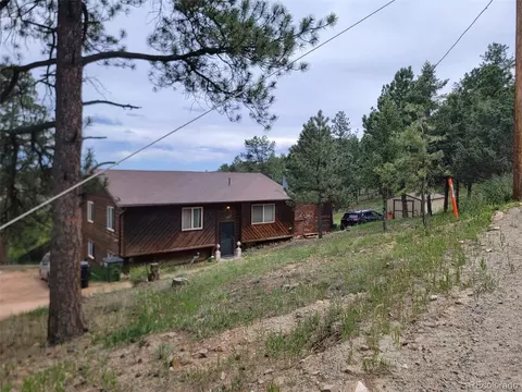 362 Raven Dr, Bailey, CO 80421 photo 3