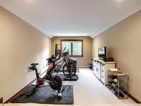 Other - 32142 Black Widow Dr, Conifer, CO 80433 photo 3 of 5