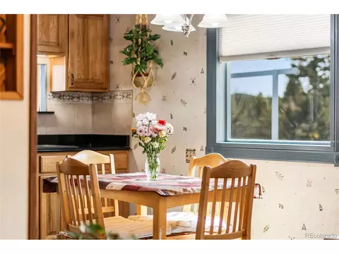 11948 Apache Trl, Conifer, CO 80433 photo 20