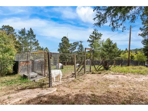11948 Apache Trl, Conifer, CO 80433 photo 36