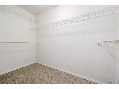 2188 Grain Bin Ct, Windsor, CO 80550 photo 14