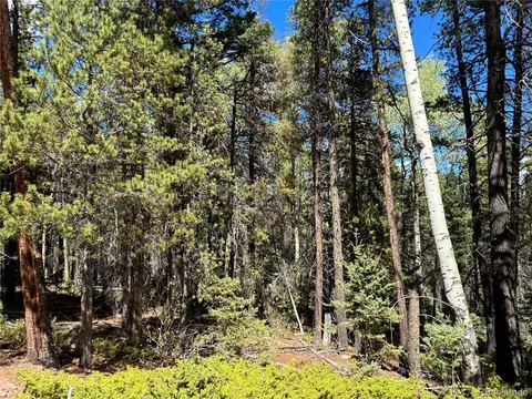 3307 Grojean, Fort Garland, CO 81133