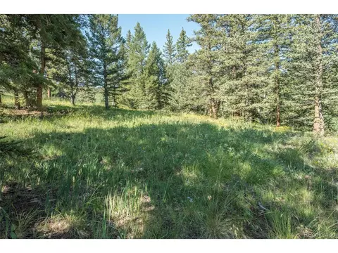719 Singletree Rd, Hartsel, CO 80449 photo 34