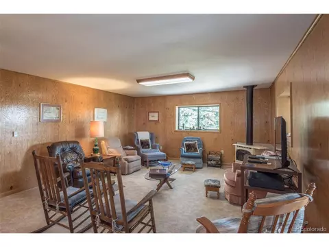 719 Singletree Rd, Hartsel, CO 80449 photo 16