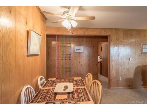 719 Singletree Rd, Hartsel, CO 80449 photo 13