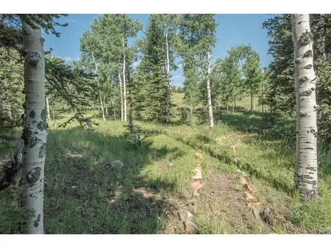 719 Singletree Rd, Hartsel, CO 80449 photo 37