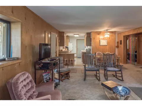 719 Singletree Rd, Hartsel, CO 80449 photo 17