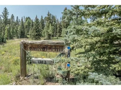 719 Singletree Rd, Hartsel, CO 80449 photo 5