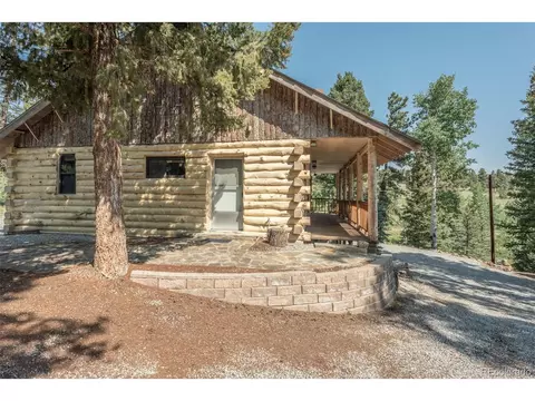 719 Singletree Rd, Hartsel, CO 80449 photo 2