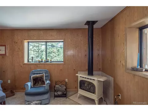 719 Singletree Rd, Hartsel, CO 80449 photo 12